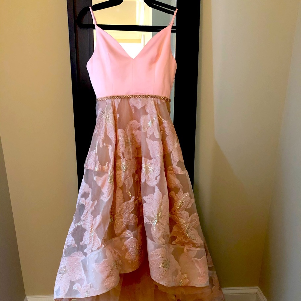 Bronx and Banco Alexia Gown in Blush and Gold XS